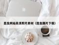 伊春昆虫网站高清照片素材（昆虫图片下载）